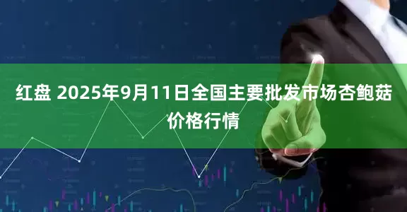 红盘 2025年9月11日全国主要批发市场杏鲍菇价格行情
